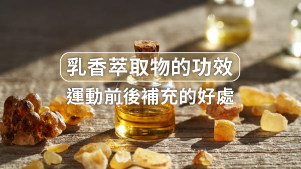 乳香萃取物的功效及運動前後補充的好處