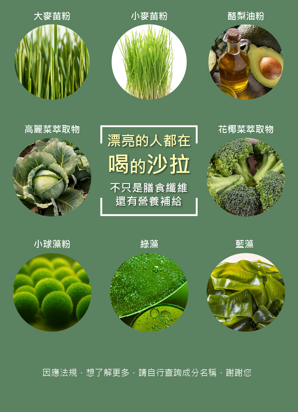 順纖仙銷售頁-11