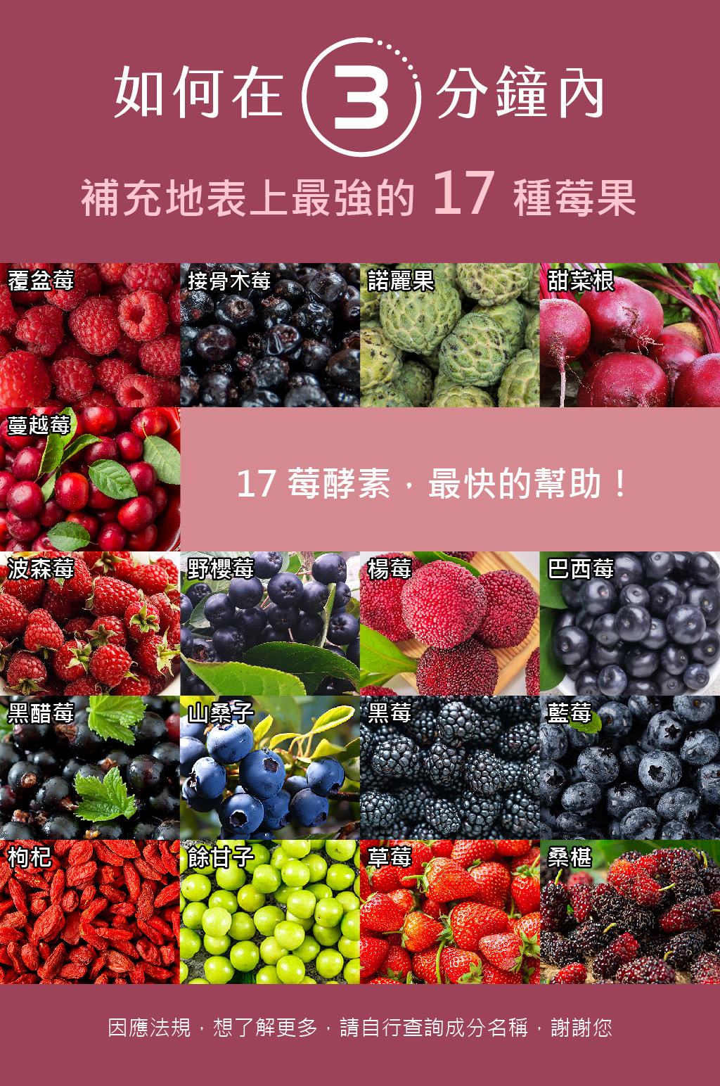 17莓酵素銷售頁-06